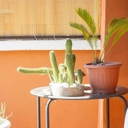 Prati View Penthouse By In *